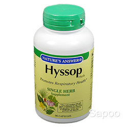 ヒソップ 450mg 90カプセル