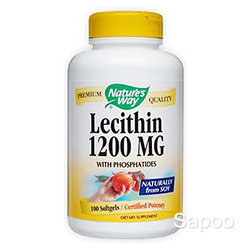 レシチン 1200mg 100ソフトジェル
