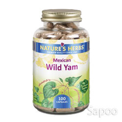 メキシカンワイルドヤム 100カプセル