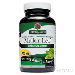 マレイン 500mg 90ベジカプセル