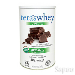 オーガニックフェアトレードダークチョコレート ホエイプロテイン 340g