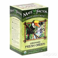 オリジナルフレッシュグリーンティー 20ティーバッグ