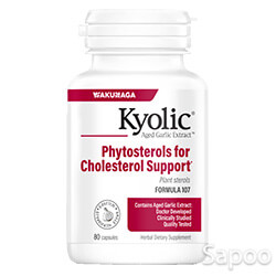 コレステロールサポートフォーミュラ107 80カプセル