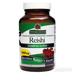 霊芝 500mg 90ベジカプセル