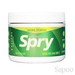 スプライキシリトールガム(ナチュラルスペアミント) 100粒