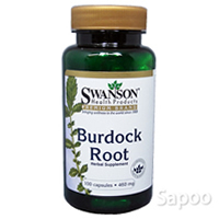 バードックルート 460mg 100カプセル