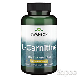 Lカルニチン 500mg 100粒