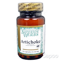 アーティチョーク 250 mg  60カプセル ※