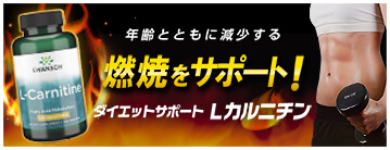Lカルニチン 500mg 100粒